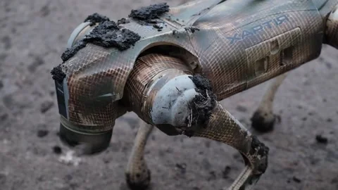 Ukrainian army uses ground drones for tactical training in Kharkiv, Kharkiv, UA  Stock Footage 300098949