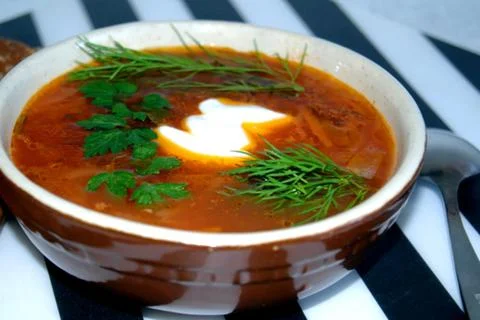 Ukrainian borsch. Stock Photos