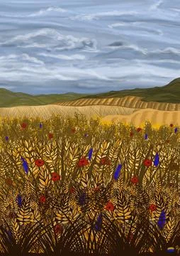 Ukrainian field Illustrazione stock