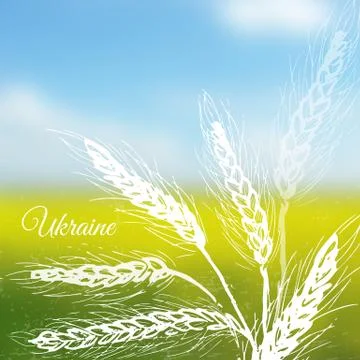 Ukrainian field vector background Stock Illustration