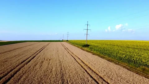 Ukrainian fields Stock Footage 202606360