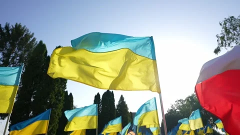 Ukrainian flag on the background of the sky Stock Footage 255518519