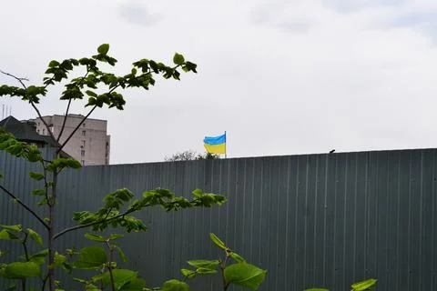 The Ukrainian flag is developing against the background of the gray sky Foto stock