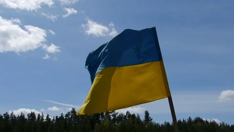 Ukrainian flag is developing in the wind Stock-Footage 113998836