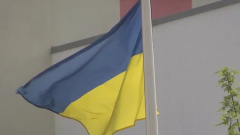Ukrainian flag flattering in the wind Stock Footage 95690485