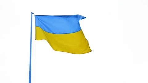 Ukrainian flag fluttering in the wind Stock Footage 101302268