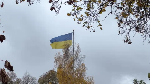 Ukrainian flag flying with grey sky at background and yellow leaves falling in Stock Footage 219859276