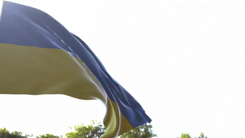 Ukrainian Flag Stockbeeldmateriaal 90811611