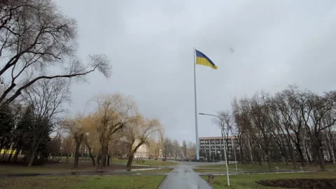 Ukrainian flag Vidéo 171381827