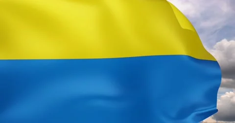 Ukrainian flag Stock Footage 196963058