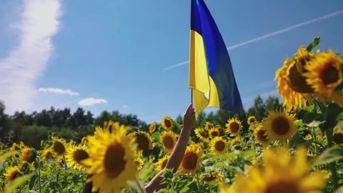 Ukrainian Flag Held High Amidst Sunflower Field and Blue Sky Stock Footage 296488848