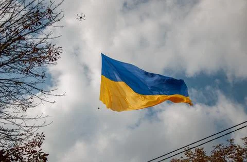 Ukrainian flag Stock Photos
