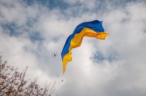 Ukrainian flag Stock Photos