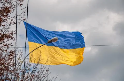 Ukrainian flag Stock Photos