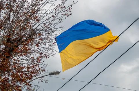 Ukrainian flag Stock Photos