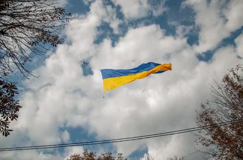 Ukrainian flag Stock Photos