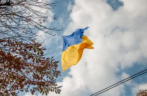 Ukrainian flag Stock Photos
