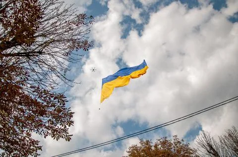 Ukrainian flag Stock Photos