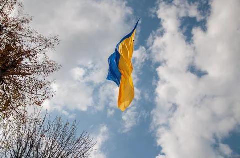 Ukrainian flag Stock Photos