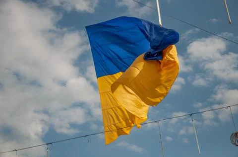 Ukrainian flag Stock Photos