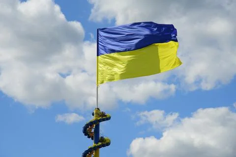 Ukrainian flag Stock Photos