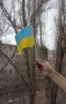Ukrainian flag Stock Photos