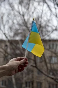 Ukrainian flag Stock Photos