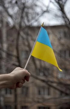 Ukrainian flag Stock Photos
