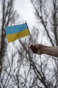 Ukrainian flag Foto stock
