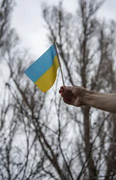 Ukrainian flag Stock Photos