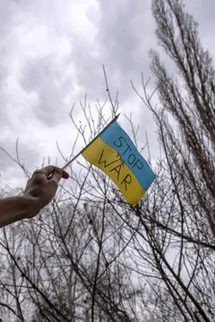 Ukrainian flag Stock Photos