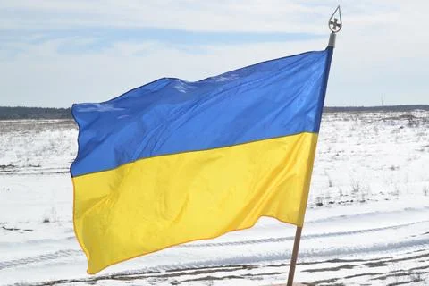Ukrainian flag 库存照片