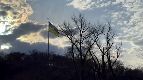 Ukrainian flag, sunset, evening time, Cloudy sky. 库存影片 239024379