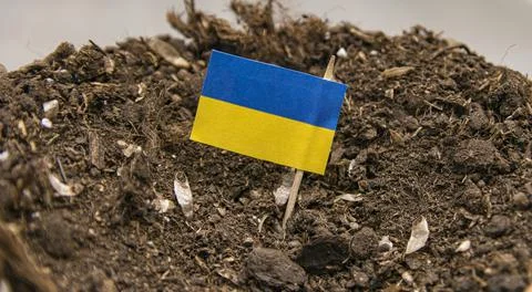 Ukrainian flag on a toothpick inserted into the soil of the earth Stock Photos