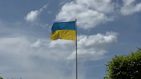 Ukrainian flag waving on the wind with b... | Stock Video | Pond5