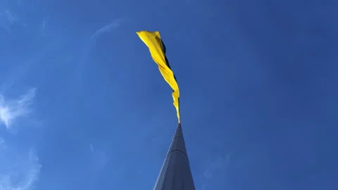 Ukrainian Flag Waving in Wind Low Angle View Stock Footage 344868319