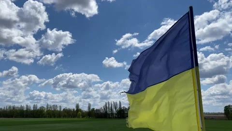 Ukrainian flag waving from wind on a sky and nature background. Stock Footage 156511892