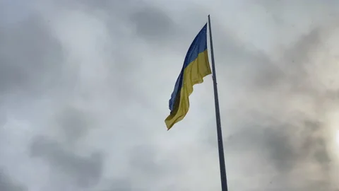 Ukrainian flag in the wind Stock-Footage 171381854
