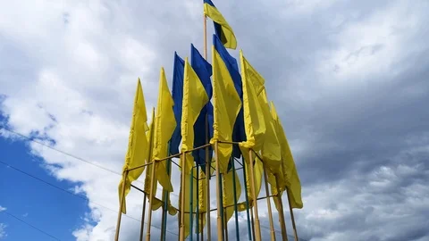 Ukrainian flags fluttering in the wind against a blue sky. Bright saturated yell Stock Footage 112079978