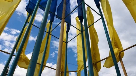 Ukrainian flags fluttering in the wind against a blue sky. Bright saturated yell Stock Footage 112080015