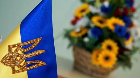 Ukrainian Flags Stock Footage 46503403