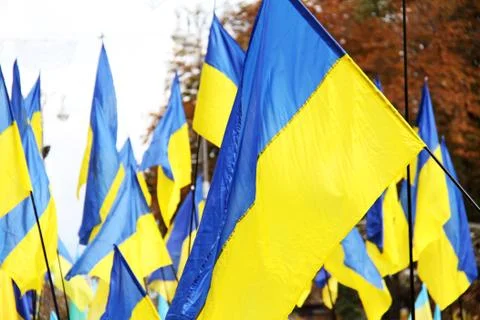Ukrainian flags Stock Photos