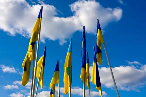 Ukrainian flags on sky background 스톡 사진