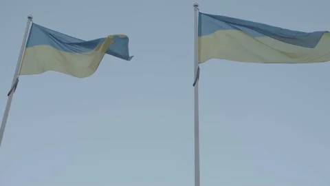 Ukrainian Flags waving in the Wind Video stock 221854064