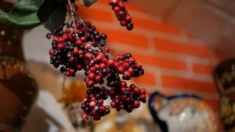 Ukrainian kalin Stock Footage 87347391