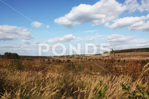 Ukrainian landscape Stock Photos