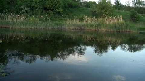 Ukrainian landscape at the river in spring in May month Stock-Footage 33608159