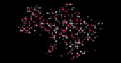 Ukrainian Map Emerges from Falling Dots Stock Footage 312259868