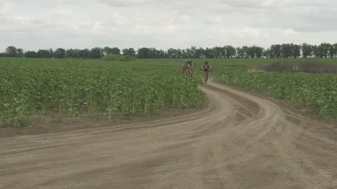 Ukrainian millitary training Stock Footage 202515000