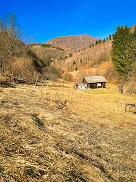 Ukrainian mountains in the spring 写真素材